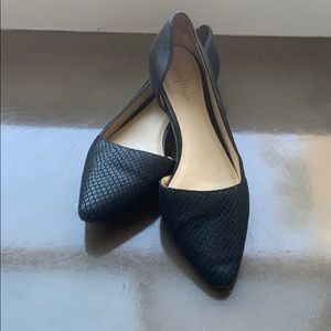 Black Cole Hann flats